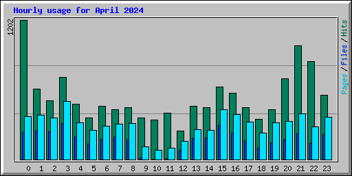 Hourly usage for April 2024