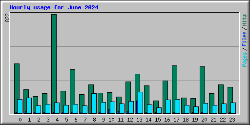 Hourly usage for June 2024